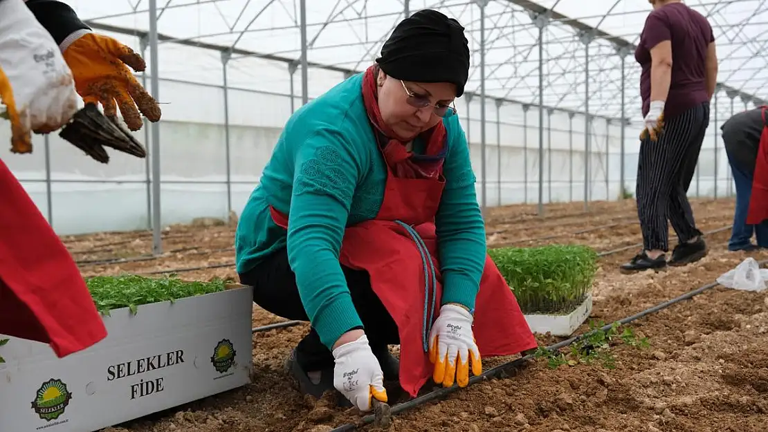 Sivrihisar’da kadınlar tarıma destek veriyor