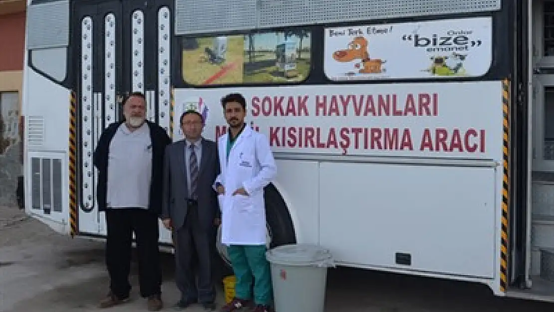 Sokak hayvanları rehabilite ediliyor – Kocatepe Gazetesi