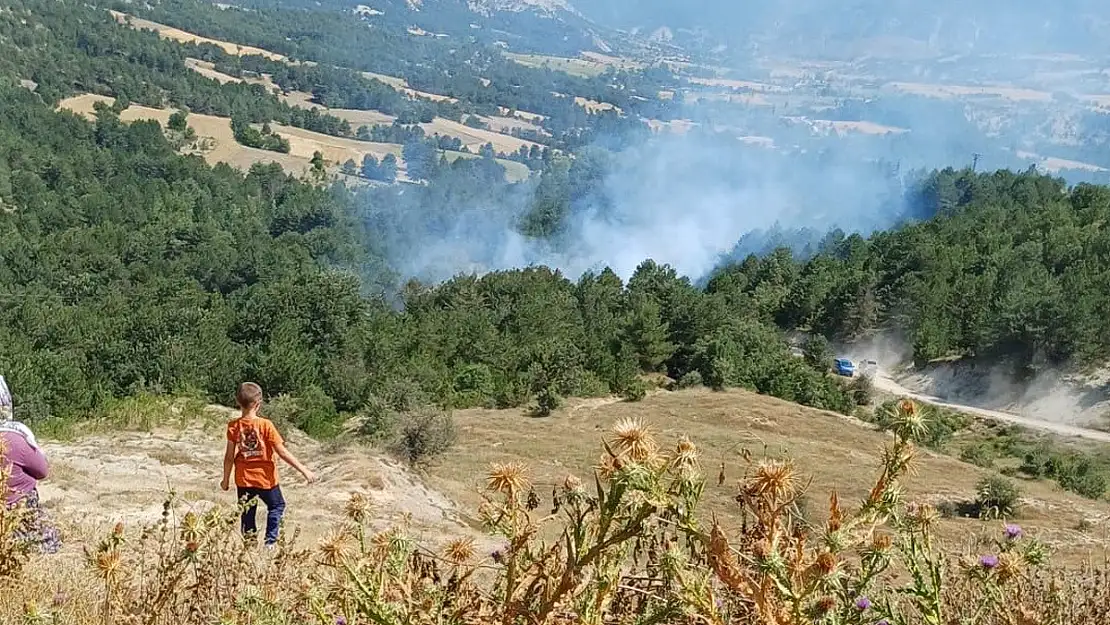 Son 2 Günde 3’üncü Orman Yangını