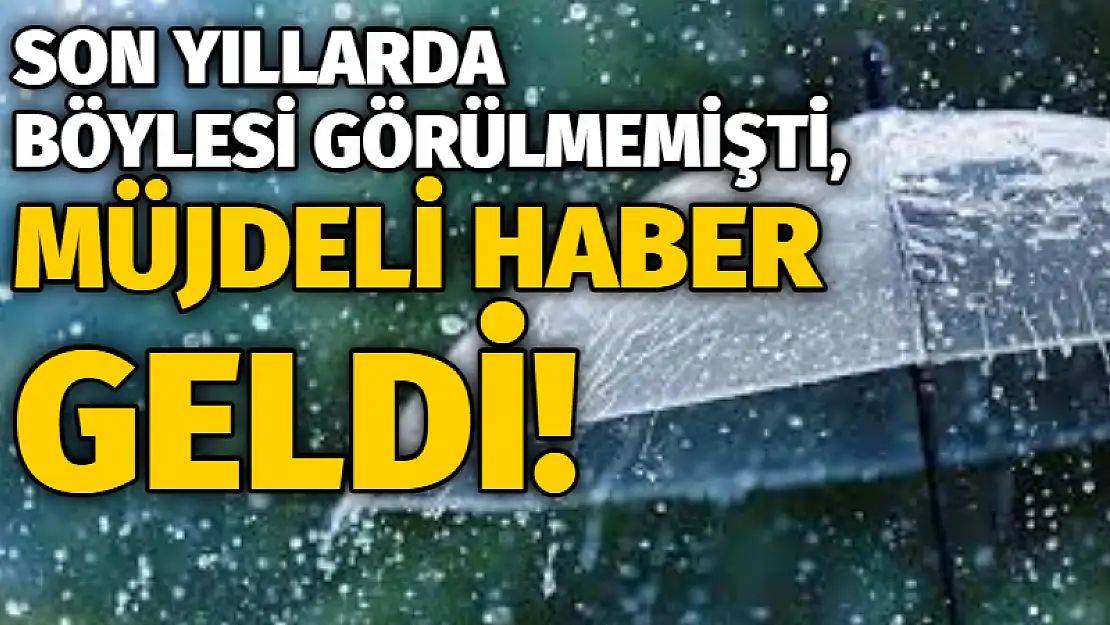 Son yıllarda böylesi görülmemişti, müjdeli haber geldi!