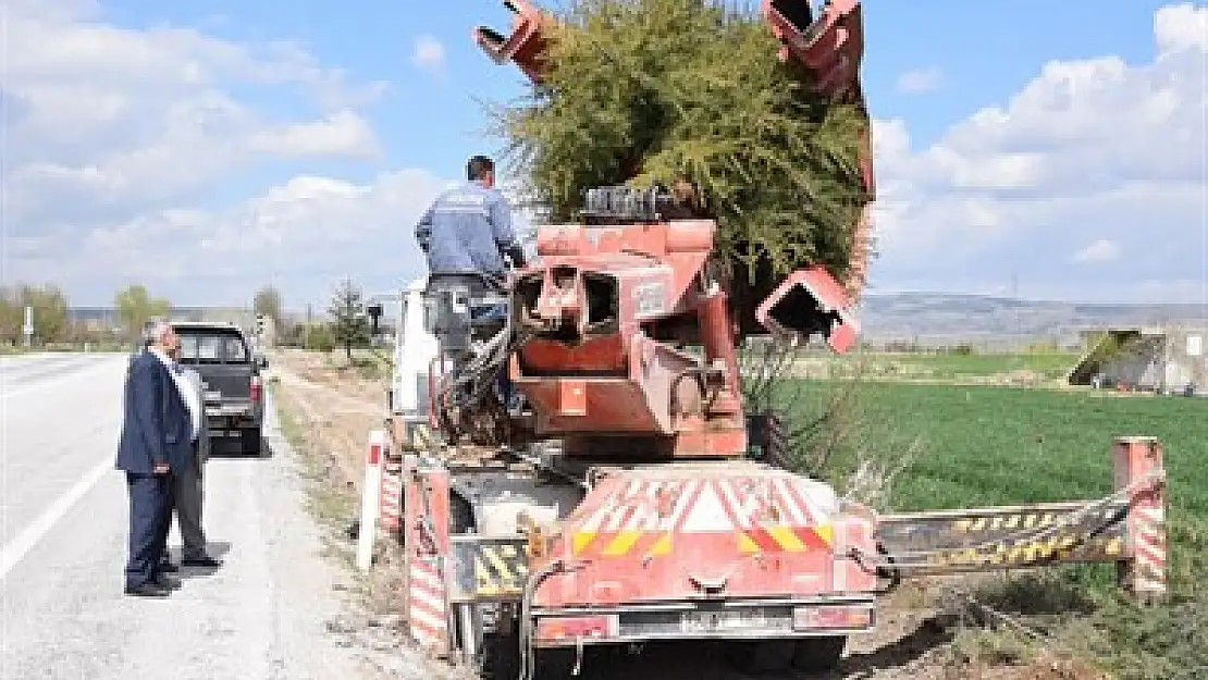 Şuhut yeşile bezenecek – Kocatepe Gazetesi