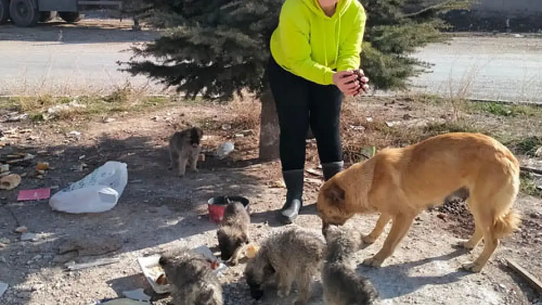 Taytak, söz verdiği hayvan mamalarını gönderdi