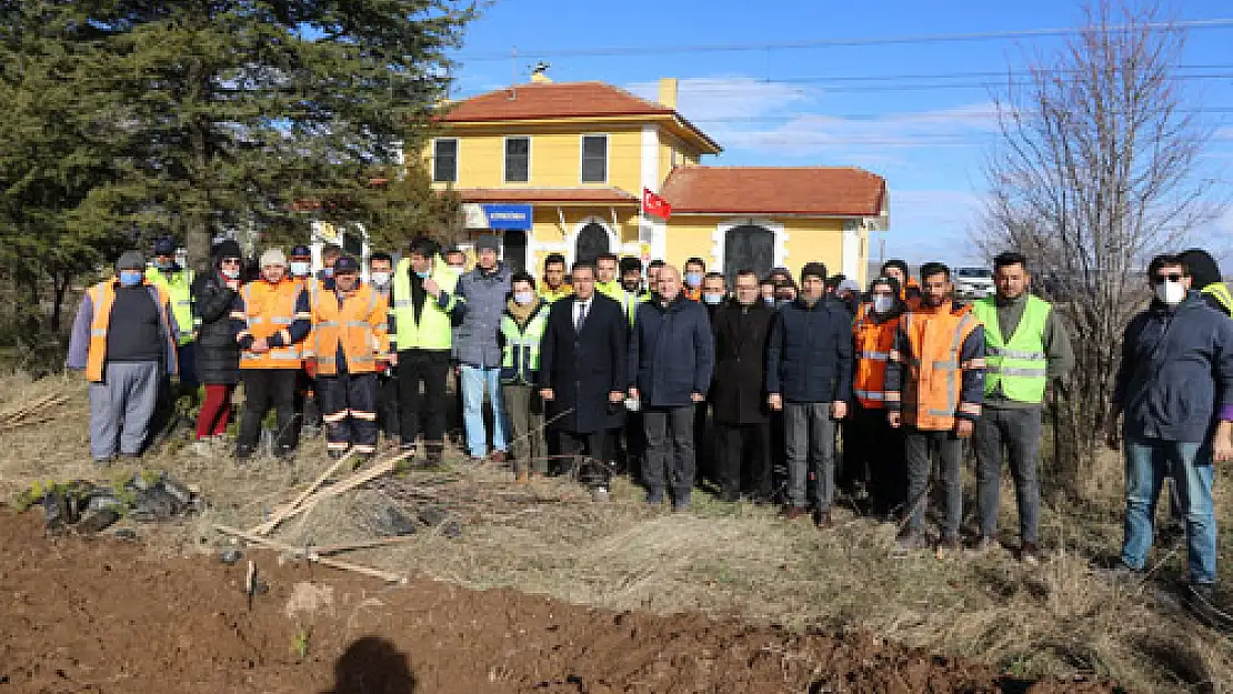 TCDD geleceğe nefes için bin fidan dikti