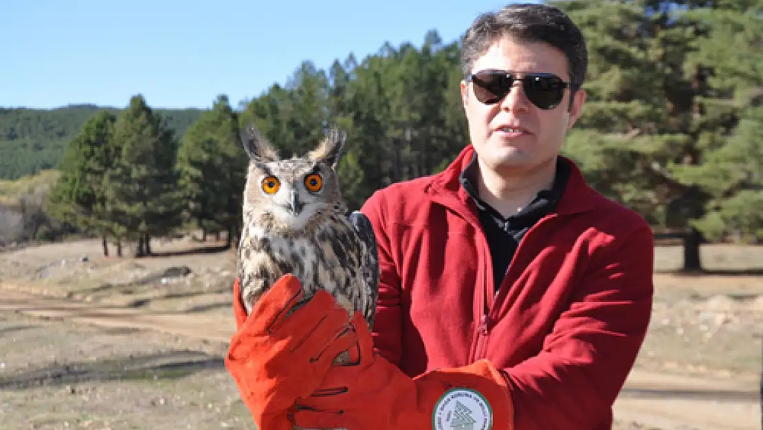 Tedavisi Tamamlanan Yırtıcı Kuşlar Ve Keklikler Doğaya Salındı