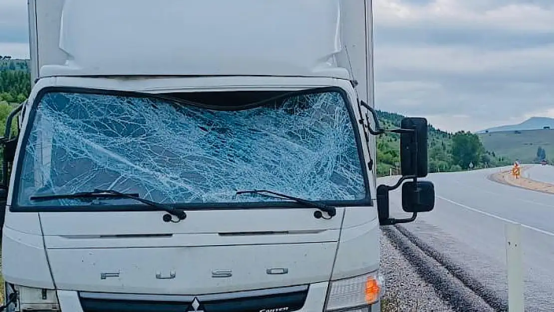 Trafik uyarı tabelasına çarpan kamyonet sürücüsü yaralandı