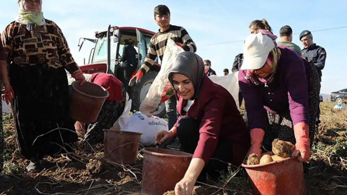 Vali Yiğitbaşı: Çiftçimizin yüzü gülüyor