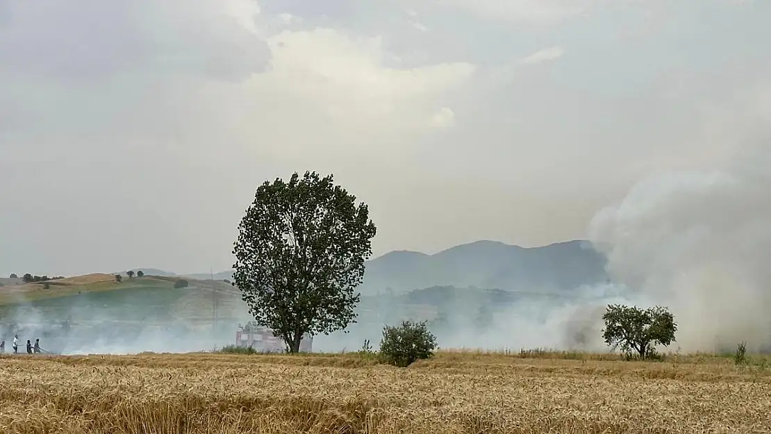 Yenipazar’da ekin tarlarında peş peşe yangın