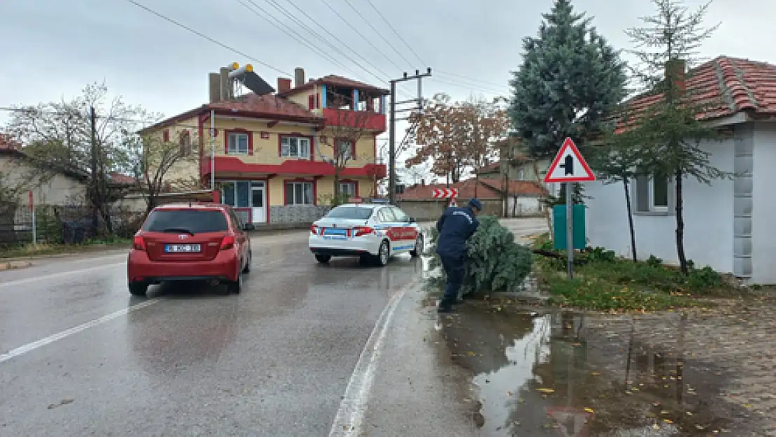 Yola Devrilen Ağacı Jandarma Ekiplerince Kaldırdı