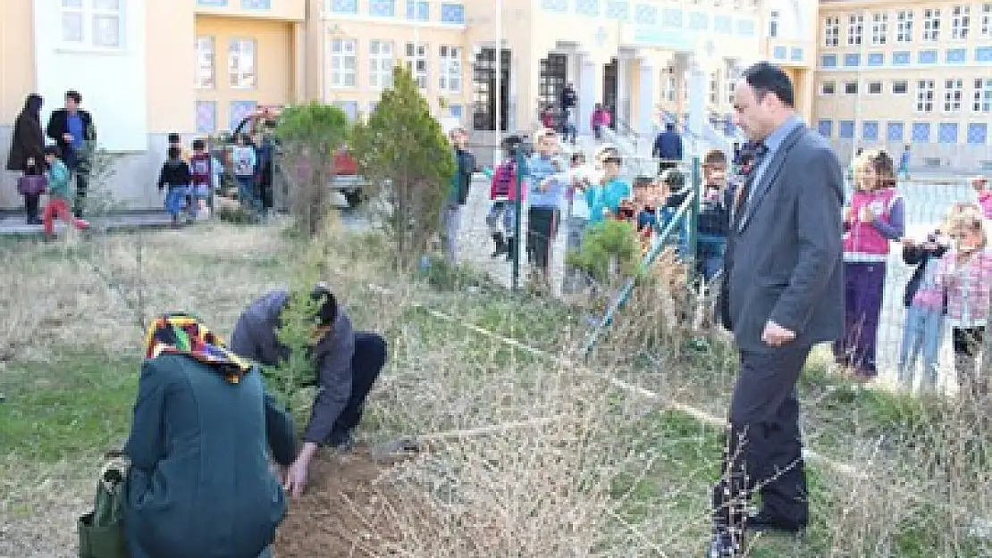 Yükümlüler, okullarda fidan dikti – Kocatepe Gazetesi