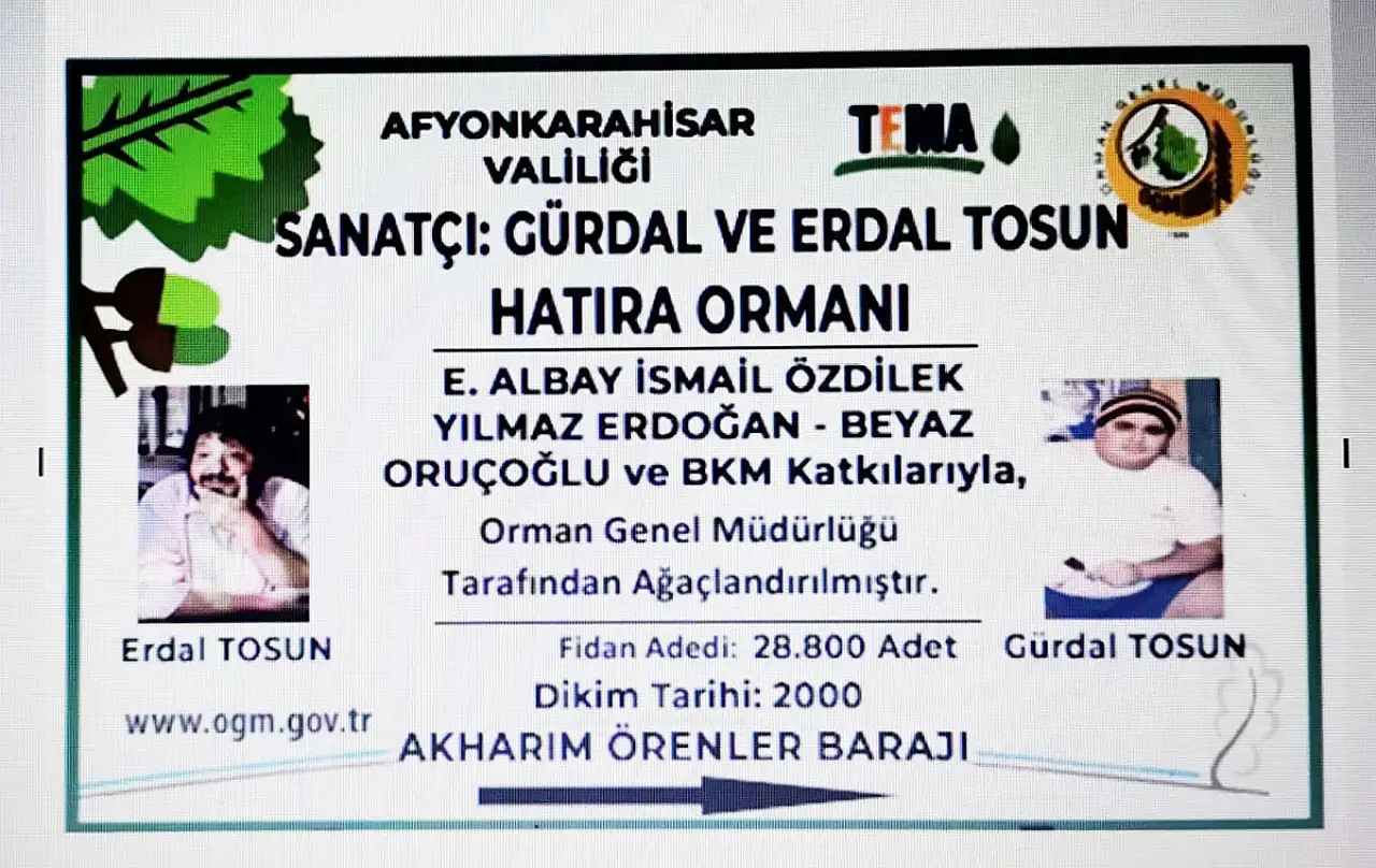 Finlandiya Da Ormanlar Yanmıyor