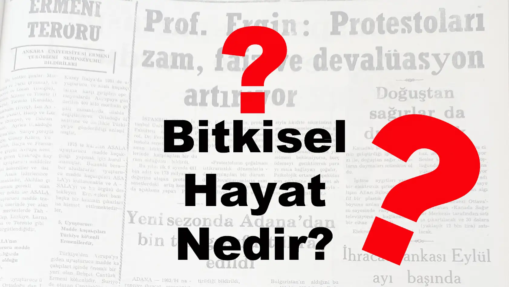 Bitkisel Hayat Nedir?