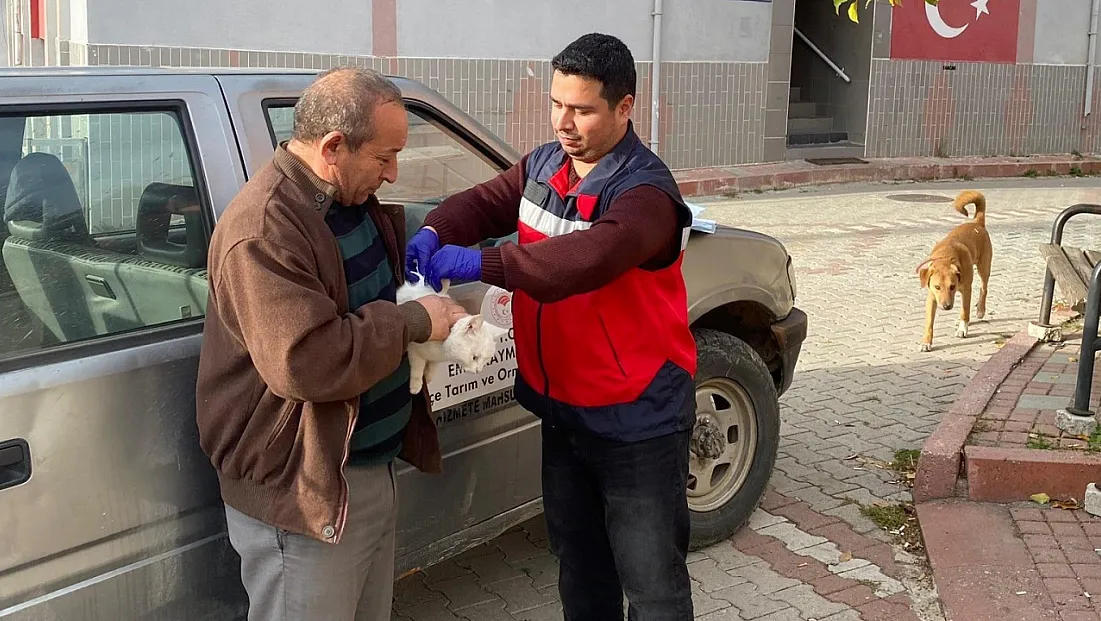 Emet’te Sahipli Kedi Ve Köpeklere Mikroçip Ve Kuduz Aşısı Uygulaması