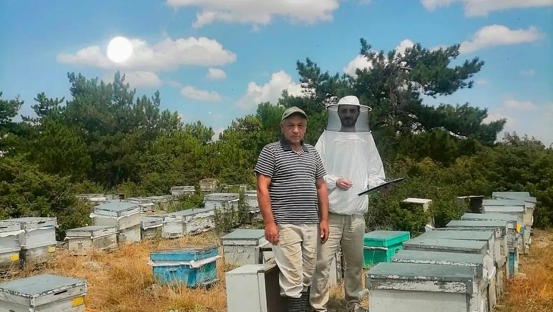 İscehisar’da Arılı Kovanların Tespiti İçin Saha Çalışması