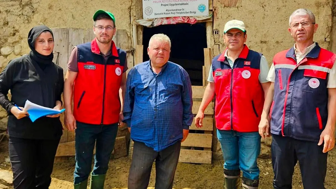 Küçükbaş Hayvan Islahı Projesi Devam Ediyor