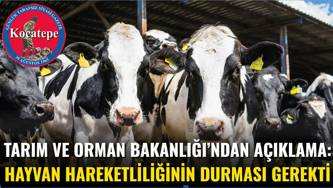 Tarım Ve Orman Bakanlığı’ndan Açıklama: Hayvan Hareketliliğinin Durması Gerekti