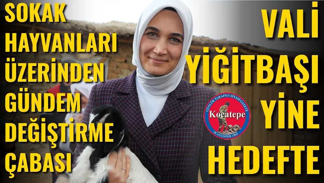 Gündem Değiştirme Çabası İle Vali Yiğitbaşı Yine Hedefte