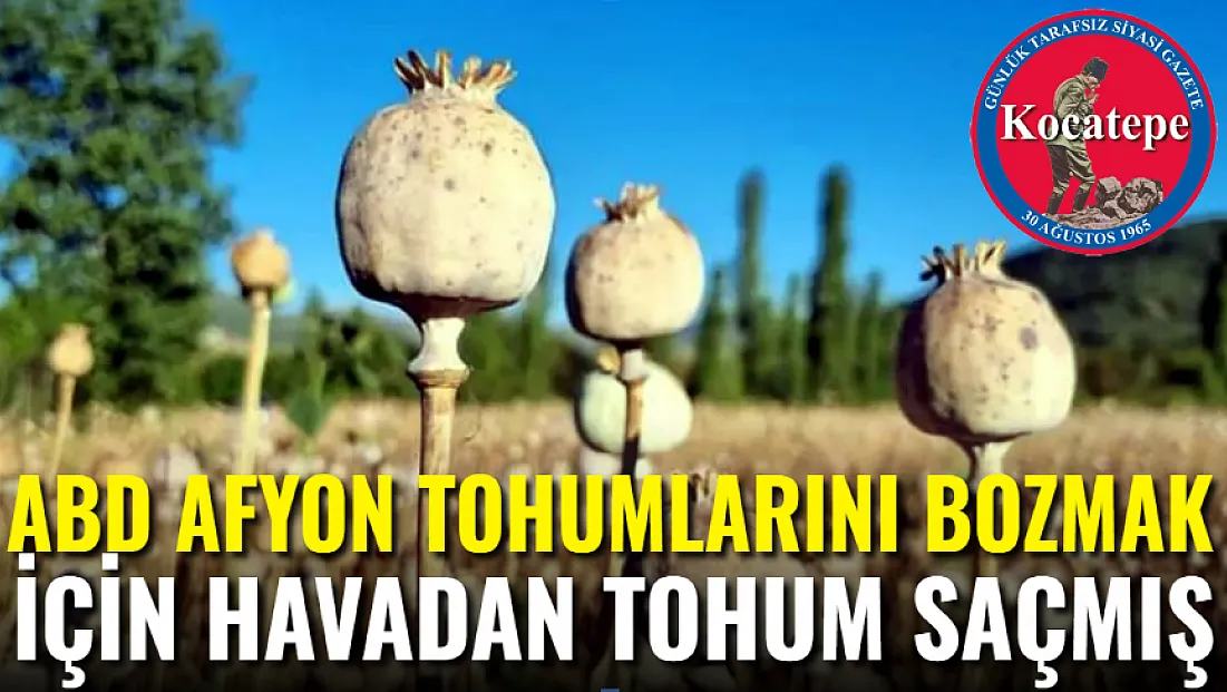 ABD Afyon Tohumlarını Bozmak İçin Havadan Tohum Saçmış