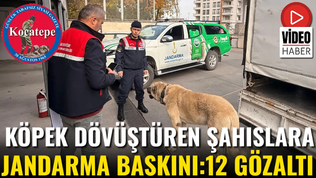 Köpek Dövüştüren Şahıslara Jandarma Baskını:12 Gözaltı