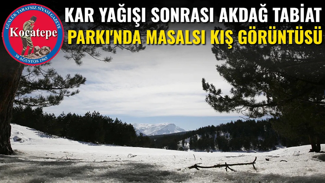 Kar Yağışı Sonrası Akdağ Tabiat Parkı'nda Masalsı Kış Görüntüsü
