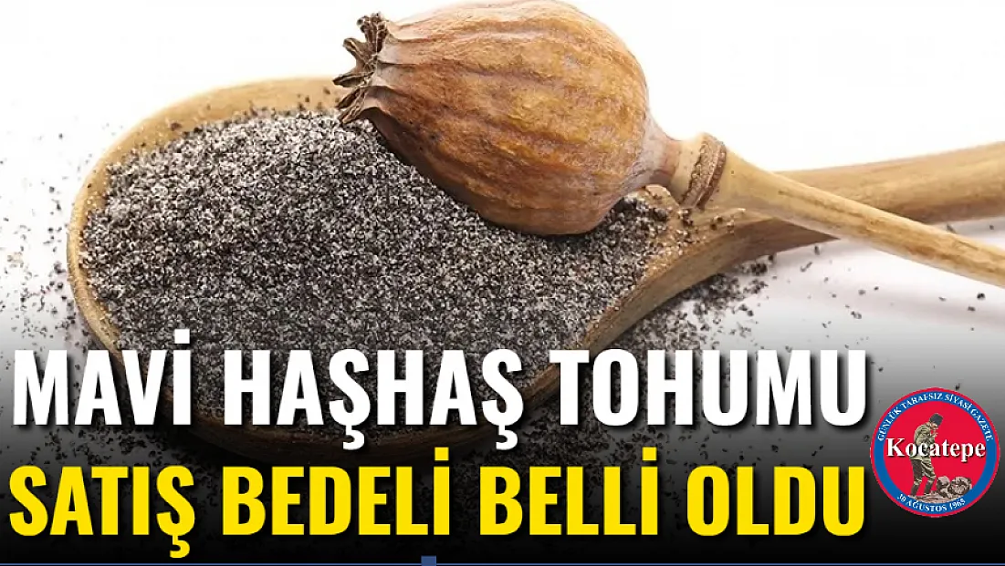 Mavi Haşhaş Tohumu Satış Bedeli Belli Oldu
