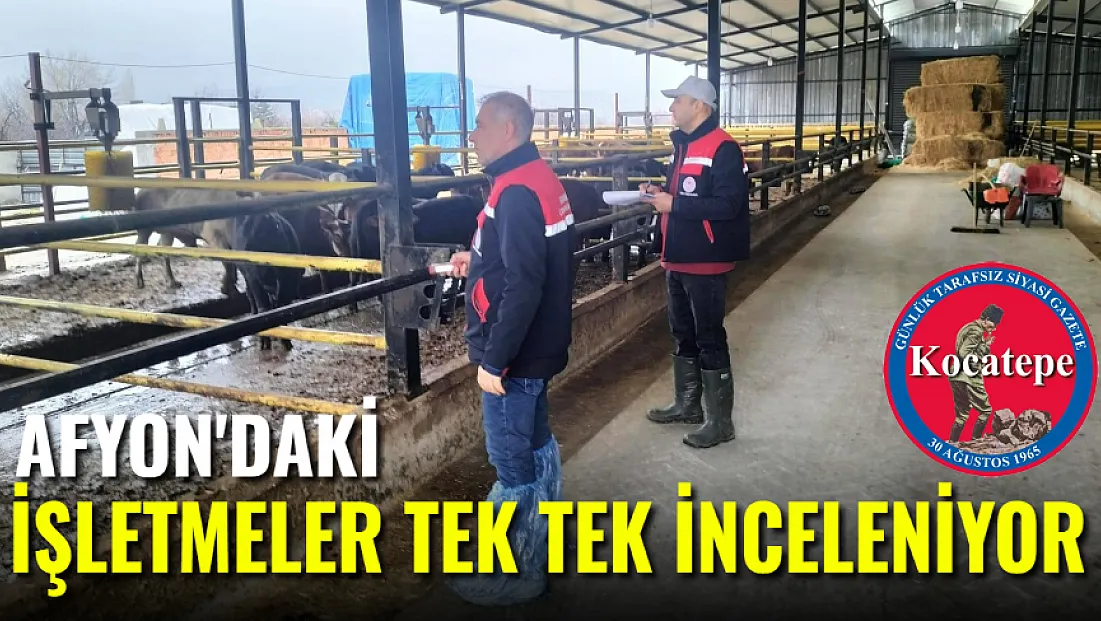 Afyon'da İşletmeler Tek Tek İnceleniyor