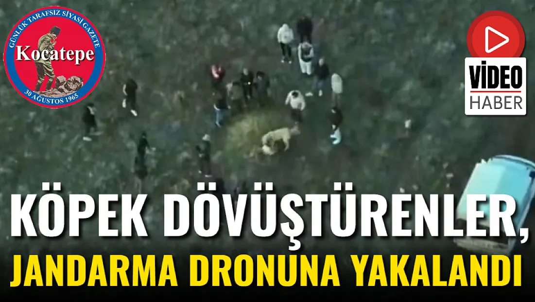 Köpek Dövüştürenler, Jandarma Dronuna Yakalandı