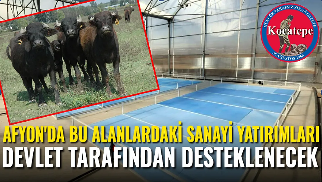 Afyon'da Bu Alanlardaki Sanayi Yatırımları Devlet Tarafından Desteklenecek