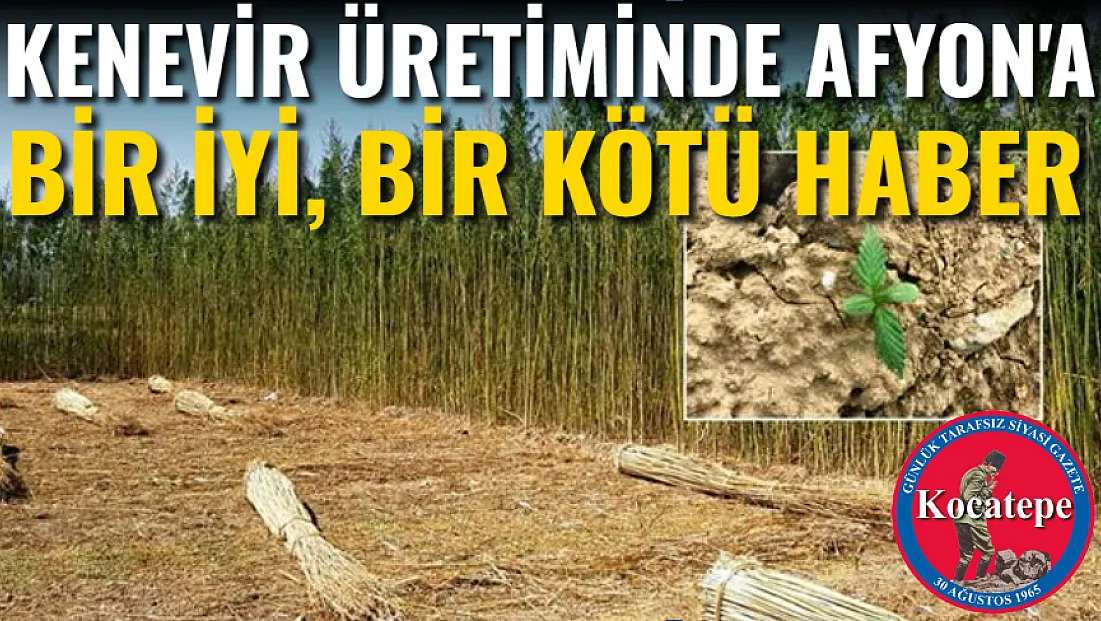 Kenevir Üretiminde Afyon'a Bir İyi, Bir Kötü Haber
