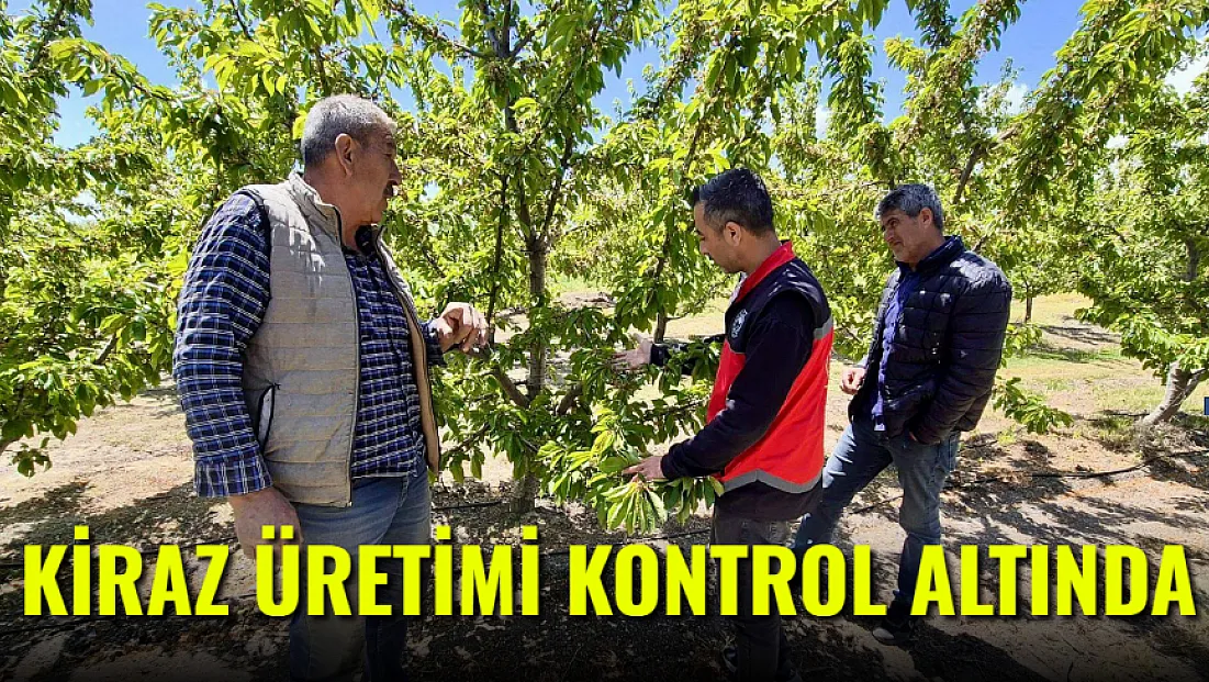 Kiraz Üretimi Kontrol Altında