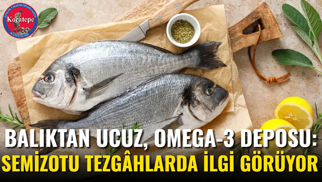 Balıktan Ucuz, Omega-3 Deposu: Semizotu Tezgâhlarda İlgi Görüyor