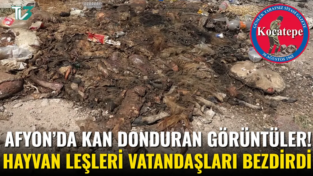 Afyon’da Kan Donduran Görüntüler! Hayvan Leşleri Vatandaşları Bezdirdi