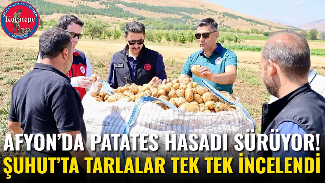 Afyon’da Patates Hasadı Sürüyor! Şuhut’ta Tarlalar Tek Tek İncelendi