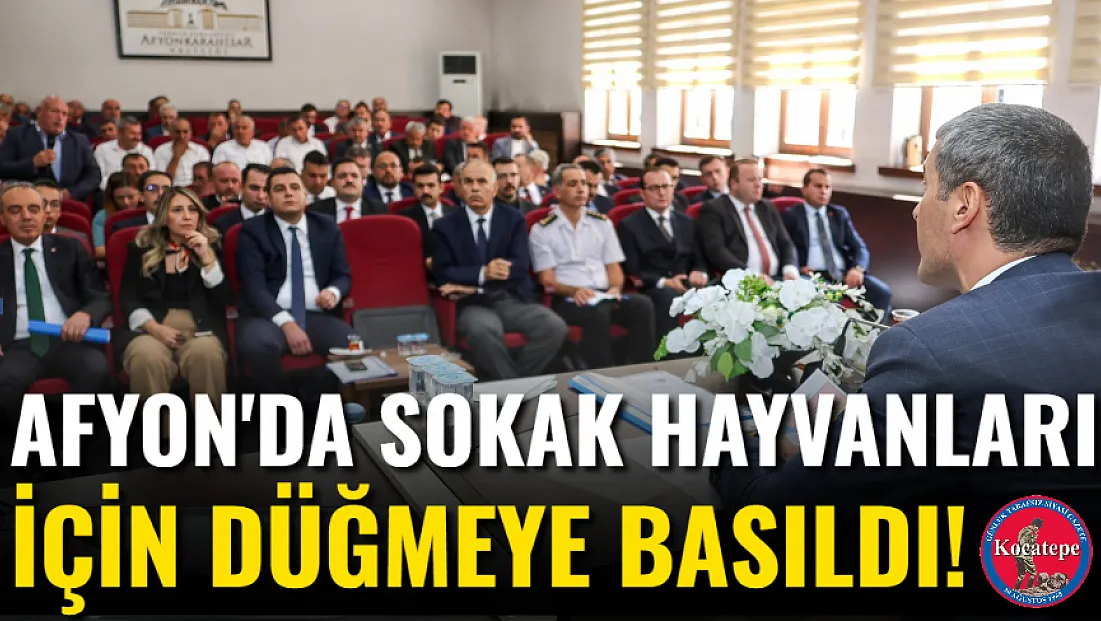 Afyon'da Sokak Hayvanları İçin Düğmeye Basıldı!