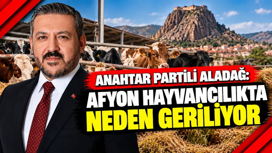 Anahtar Partili Aladağ: Afyon Hayvancılıkta Neden Geriliyor?