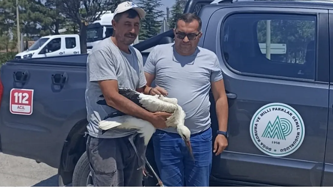 Yaralı Leylek Koruma Altına Alındı