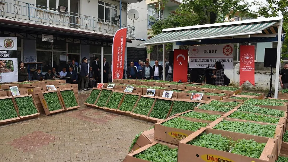 100 bin adet yerli ve milli çeşit sebze fidesi toprakla buluştu