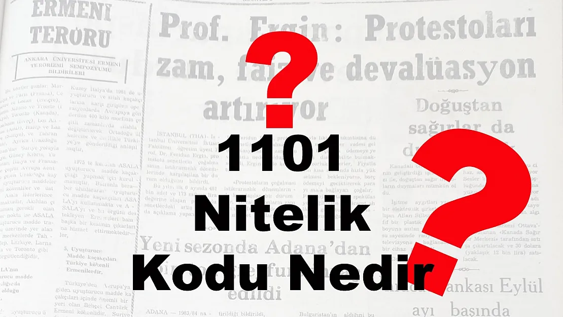 1101 Nitelik kodu Nedir?