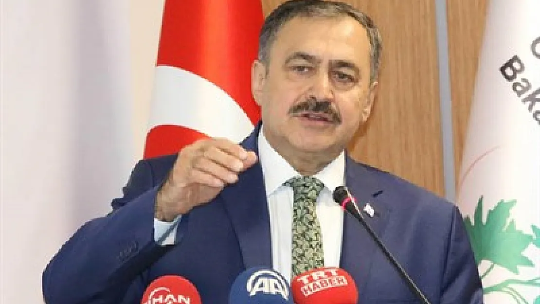 12 yılda 3 milyar 350 milyon fidan dikildi