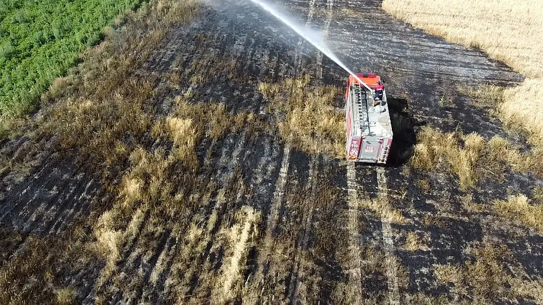 2 Dönümlük Buğday Ekili Alan Yangında Zarar Gördü