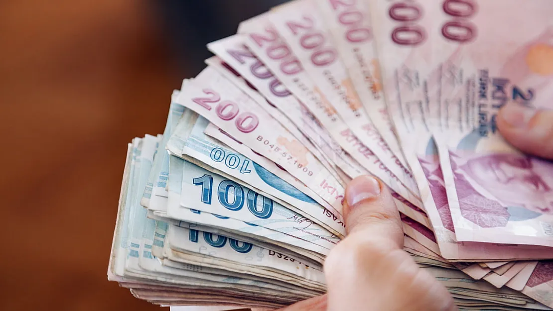 2014 yılı bütçesi 155 milyon lira