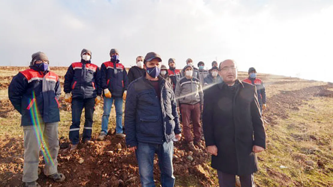 23 bin metrekarelik alanda  150. Yıl Ormanı kuruluyor