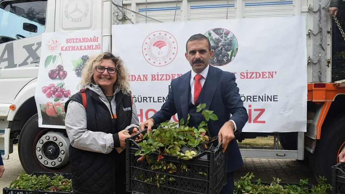 26 üreticiye 13 bin böğürtlen fidanı dağıtıldı