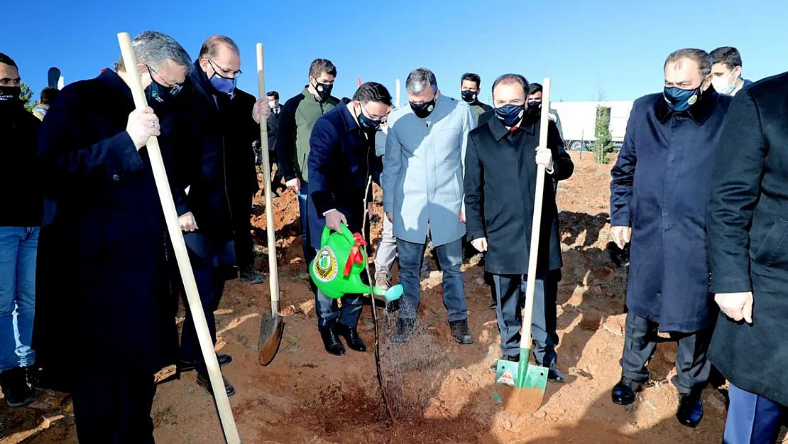 3 bin fidan toprakla buluşuyor