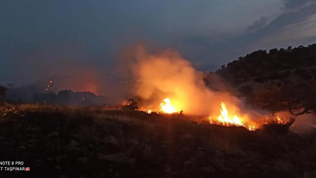 3 hektar kül oldu, ağaçlar zarar görmedi 