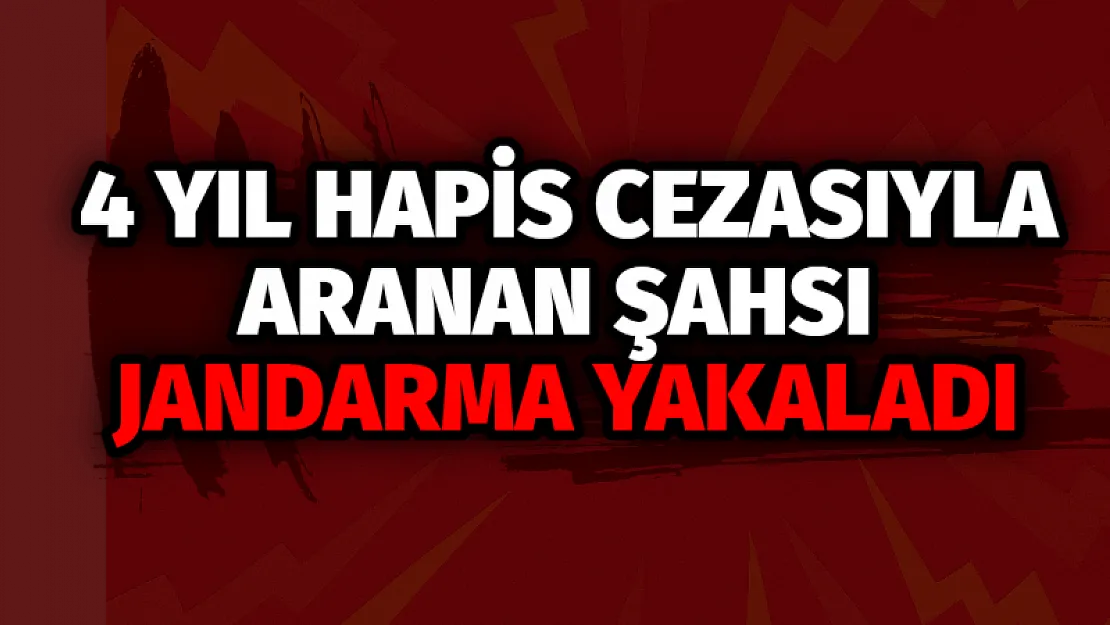 4 Yıl Hapis Cezasıyla Aranan Şahsı Jandarma Yakaladı