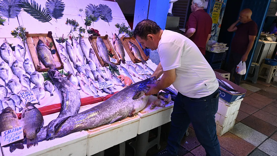 40 Kiloluk Yayın Balığını Görenler 'Canavar Gibi' Diyor