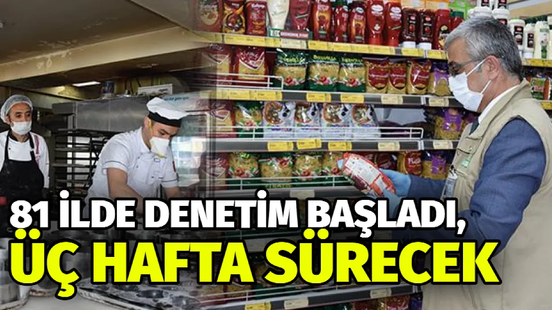 81 ilde denetim başladı, üç hafta sürecek