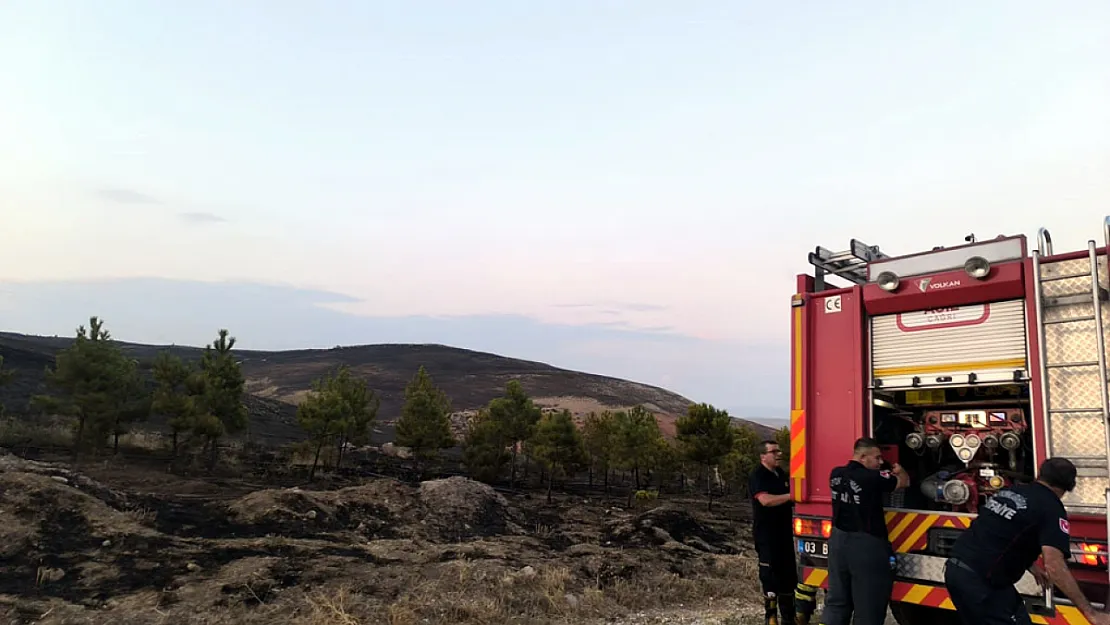 Afyon'da 100 Hektar Alan Yandı