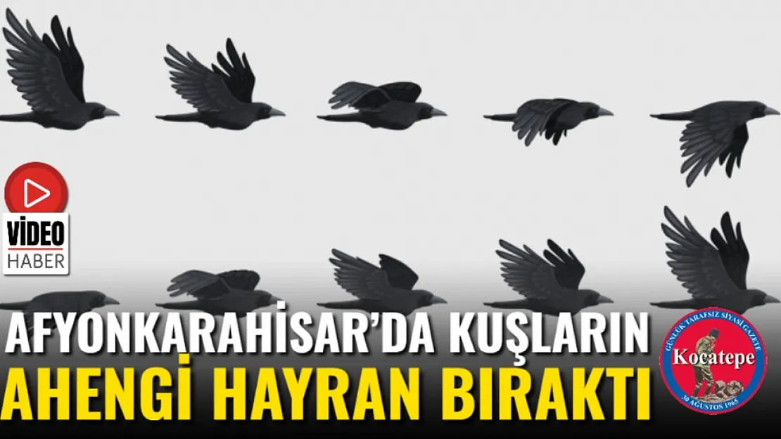 Afyon'da Kuşların Ahengi Hayran Bıraktı