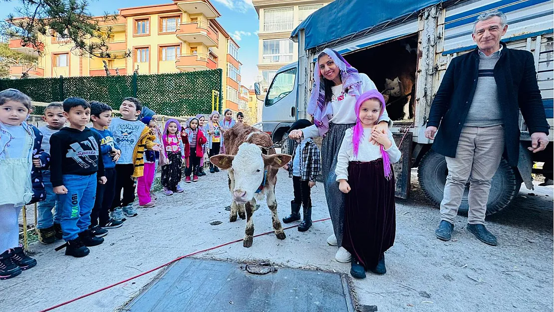 Afyon'da Okul Bahçesinde İnek Sağıldı, Yoğurt Mayalandı